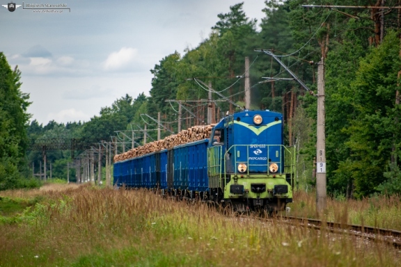 SM31-033