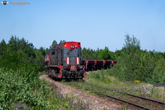 TEM2-224