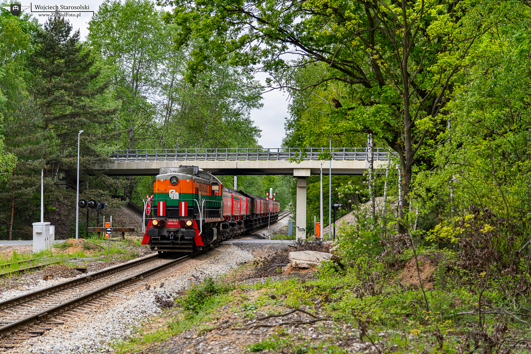 RJT_4539.JPG