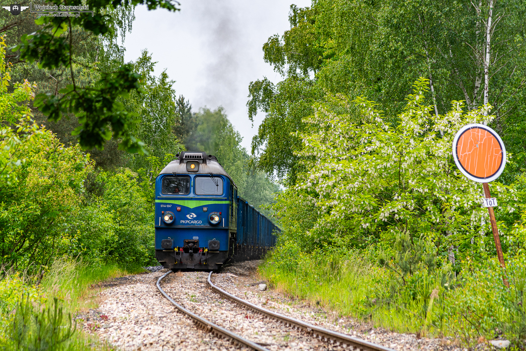 RJT_5409.JPG
