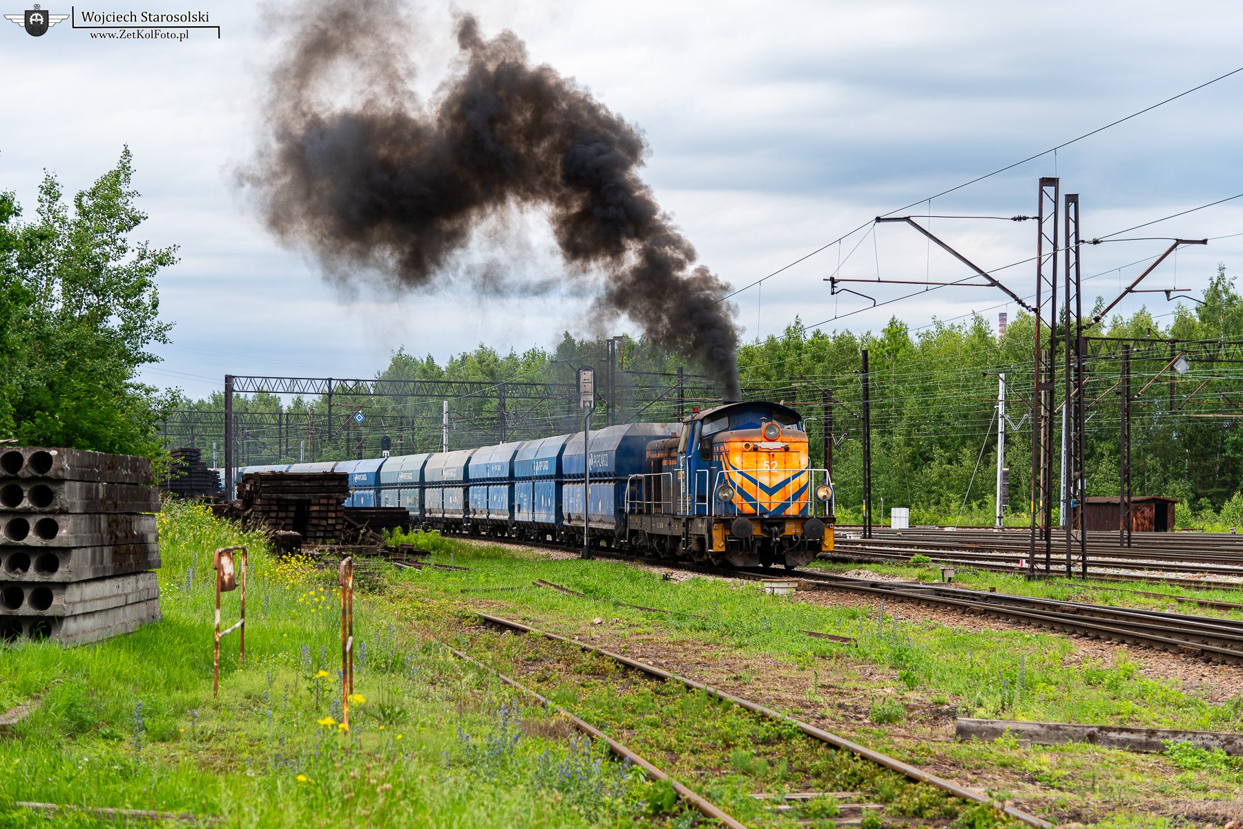 RJT_5951.JPG