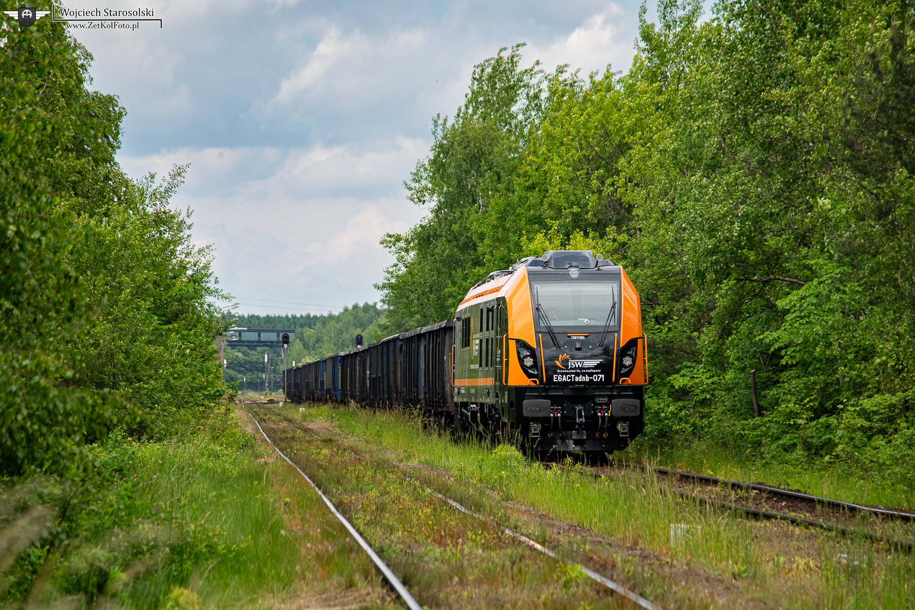 RJT_5503-2.JPG