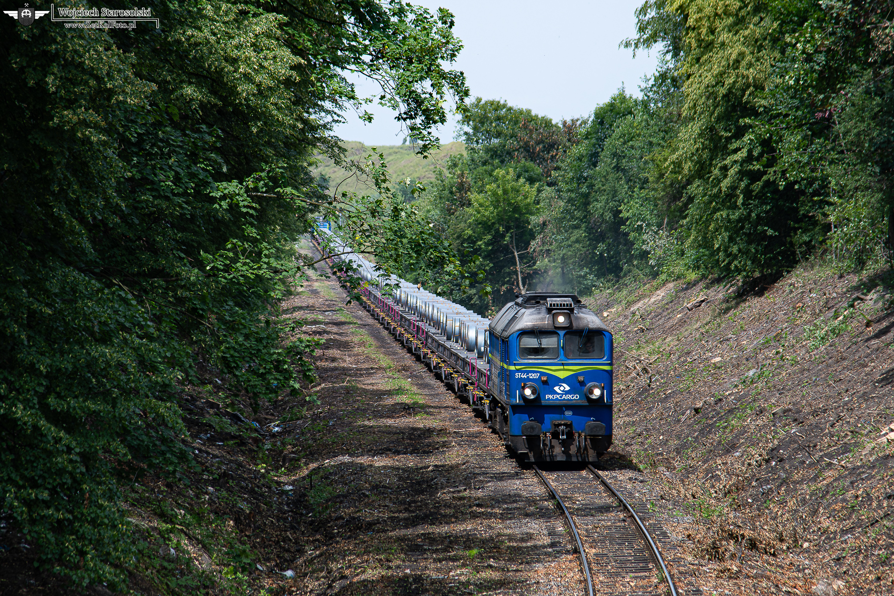 RJT_6578-Poprawione-Szum-2.JPG