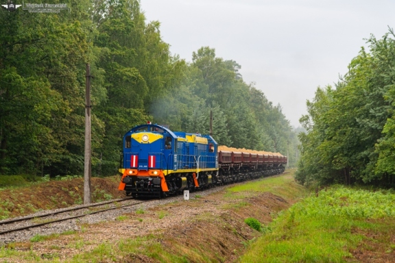 21D-006