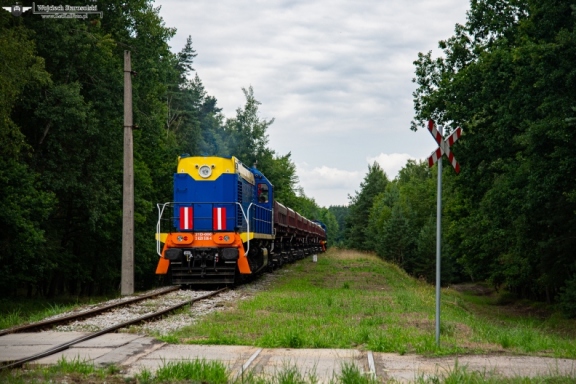 21D-006