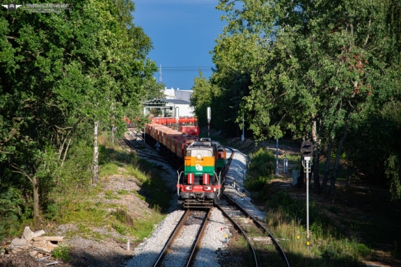 TEM2-299