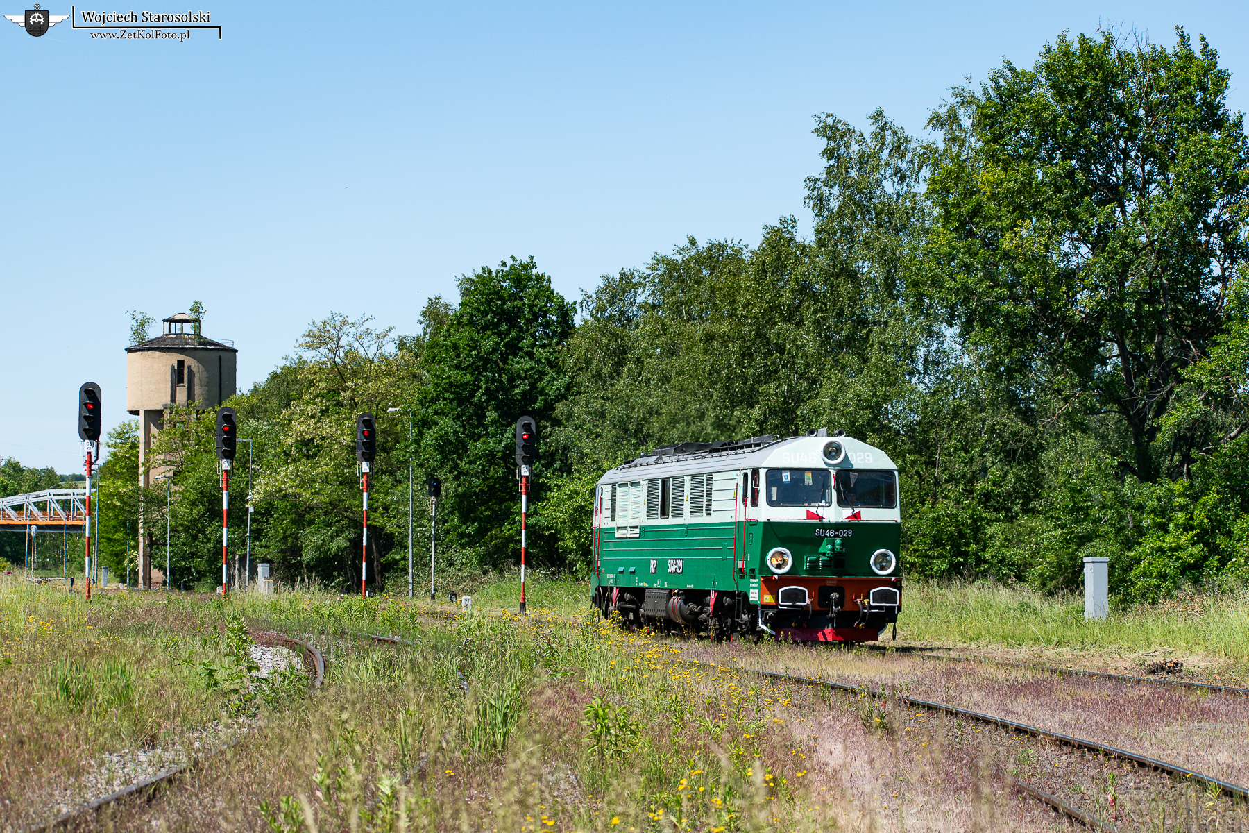 DSC_0290.JPG